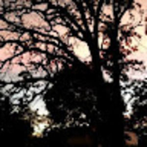 Meet your Posher, Lilliana